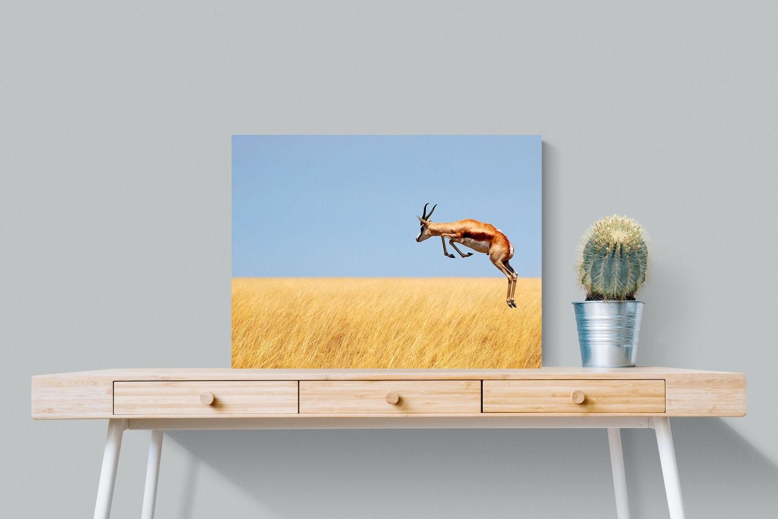 Springy-Wall_Art-80 x 60cm-Mounted Canvas-No Frame-Pixalot