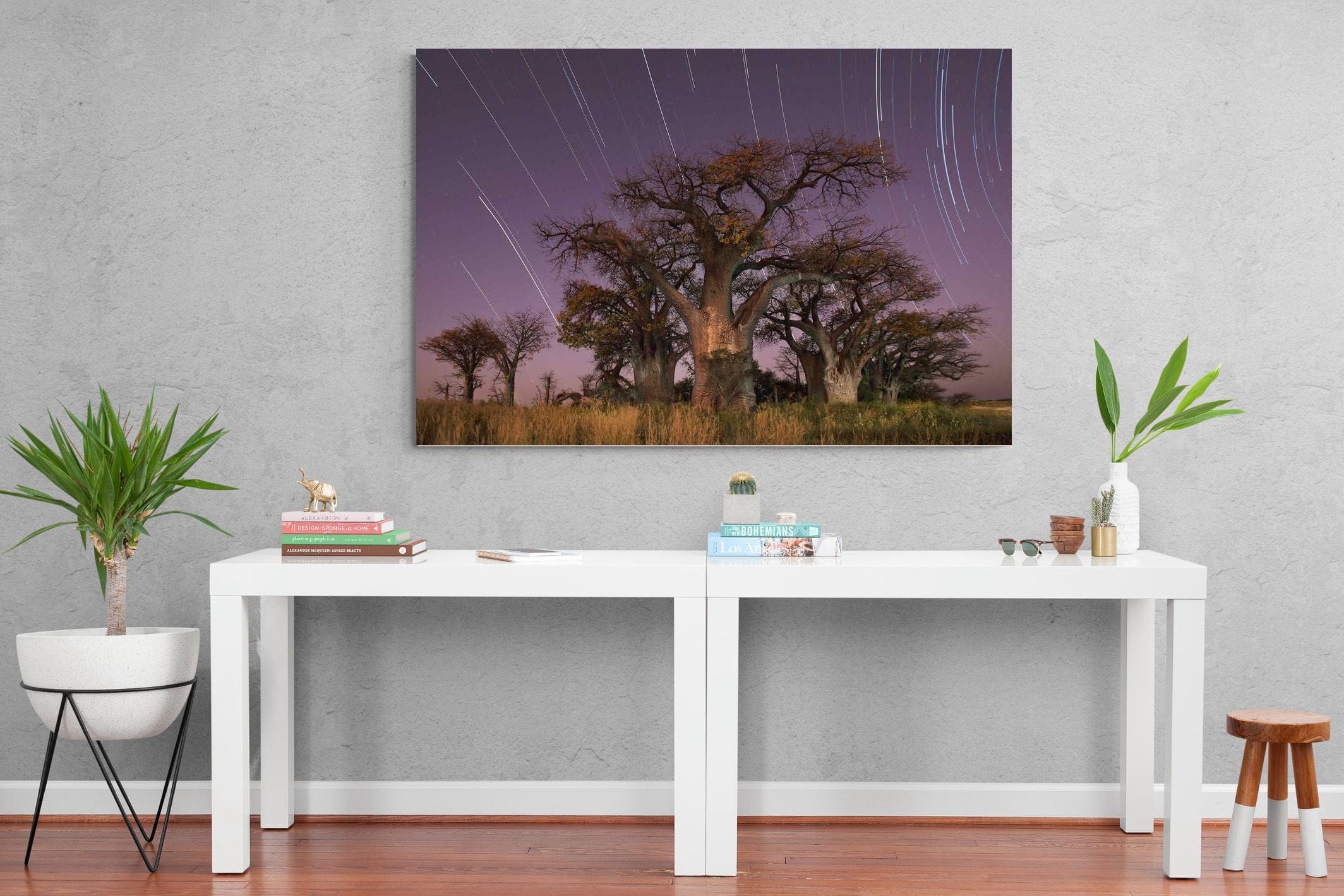 Starry Sky Baobab-Wall_Art-150 x 100cm-Mounted Canvas-No Frame-Pixalot