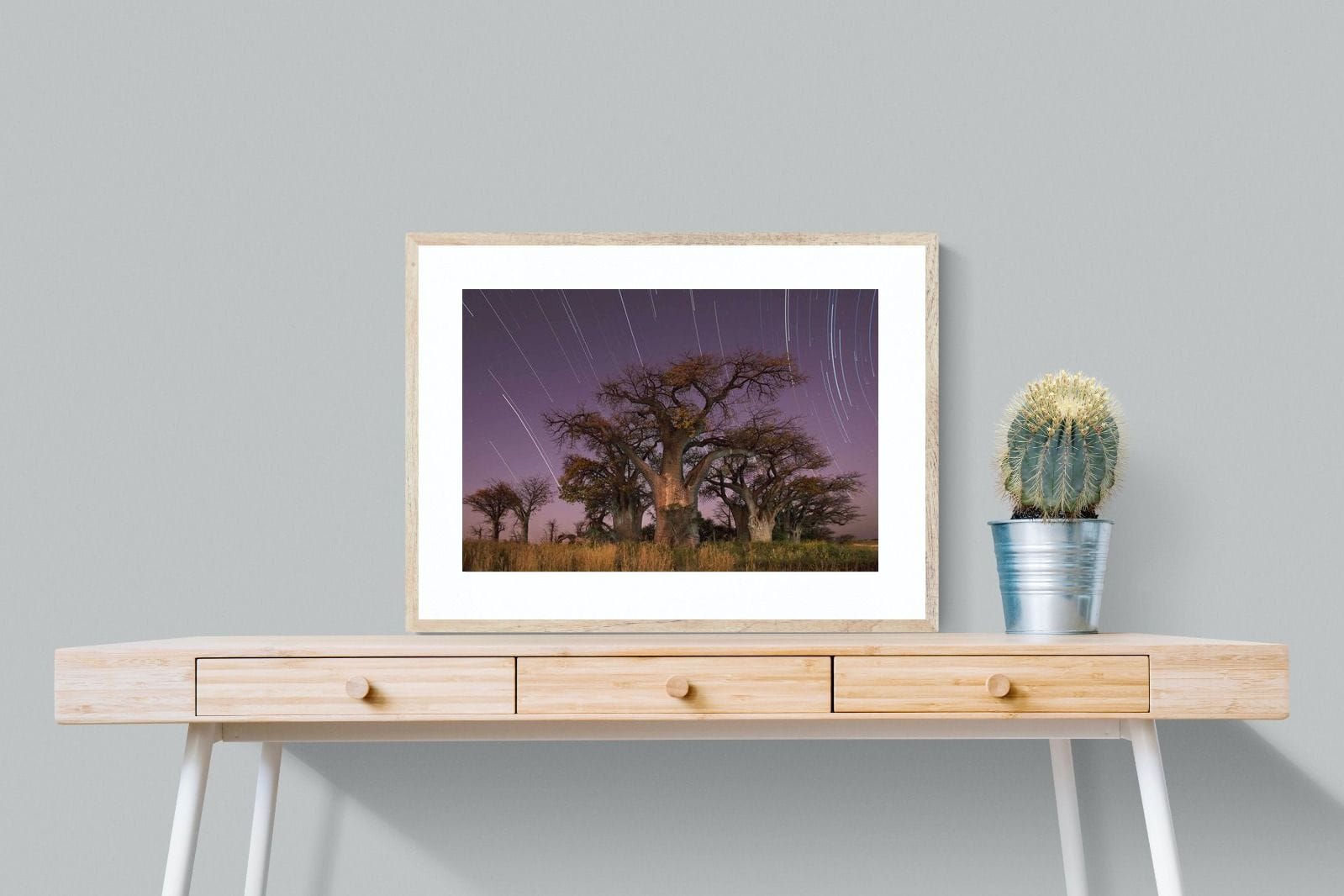 Starry Sky Baobab-Wall_Art-80 x 60cm-Framed Print-Wood-Pixalot