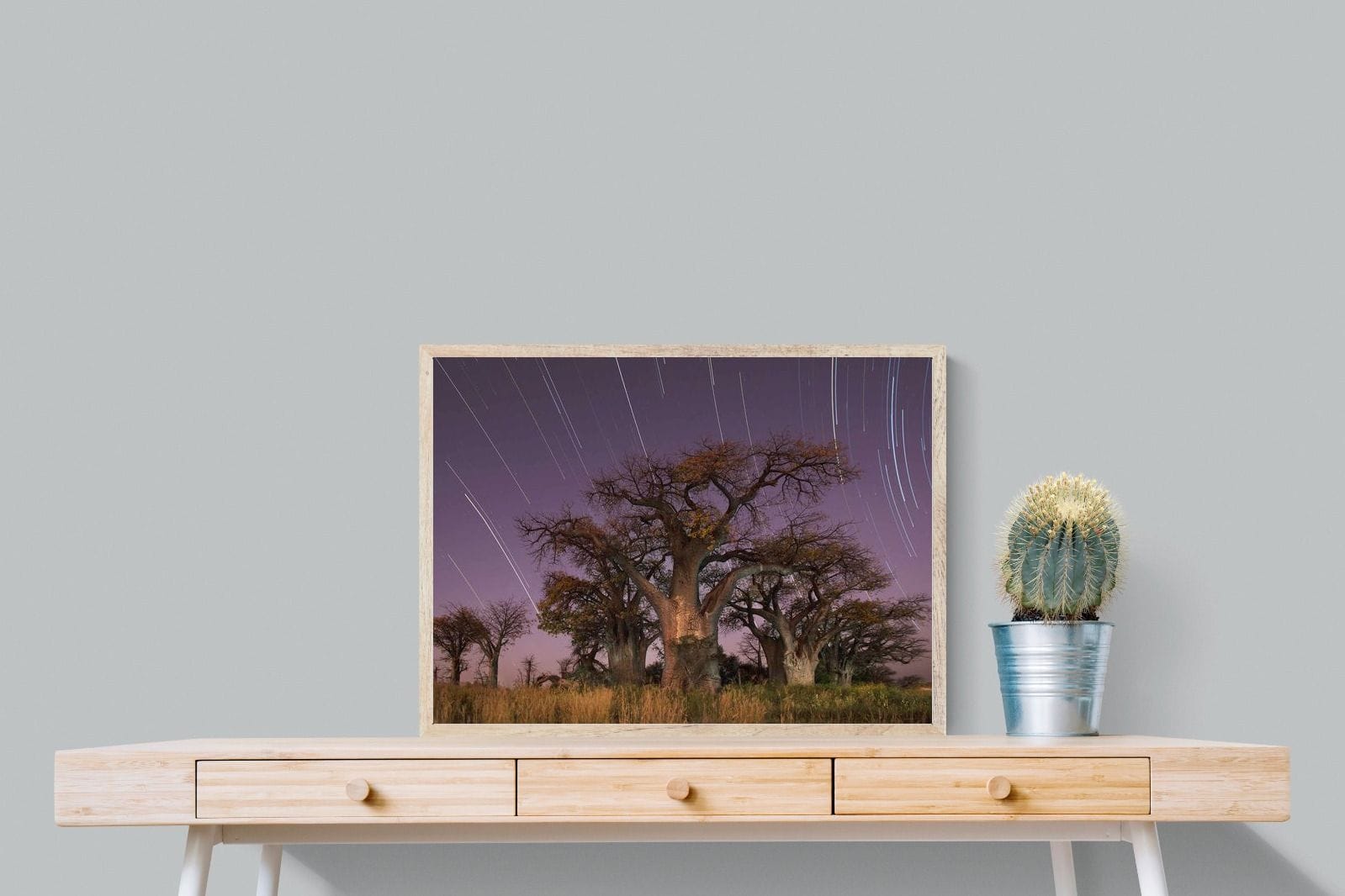 Starry Sky Baobab-Wall_Art-80 x 60cm-Mounted Canvas-Wood-Pixalot