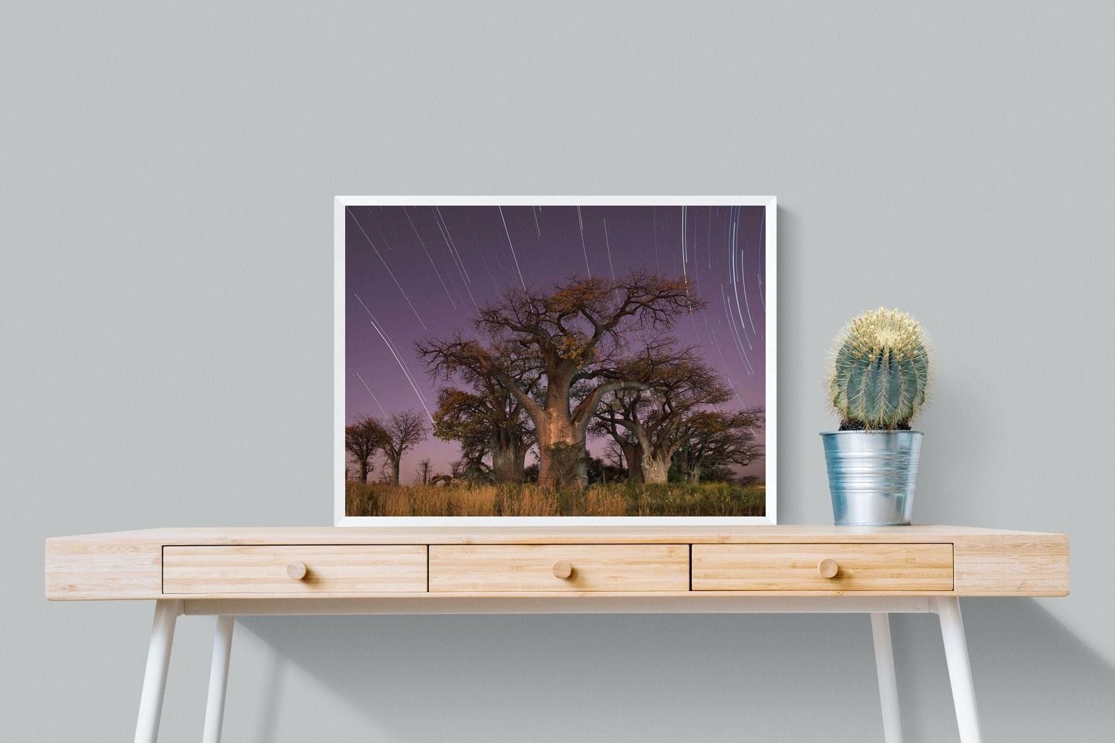 Starry Sky Baobab-Wall_Art-80 x 60cm-Mounted Canvas-White-Pixalot
