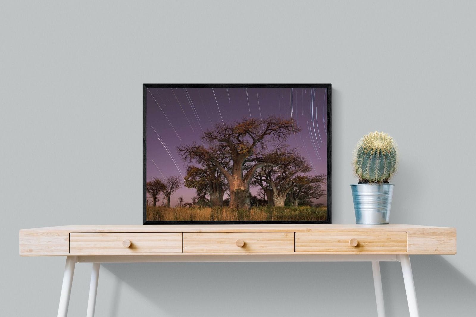 Starry Sky Baobab-Wall_Art-80 x 60cm-Mounted Canvas-Black-Pixalot
