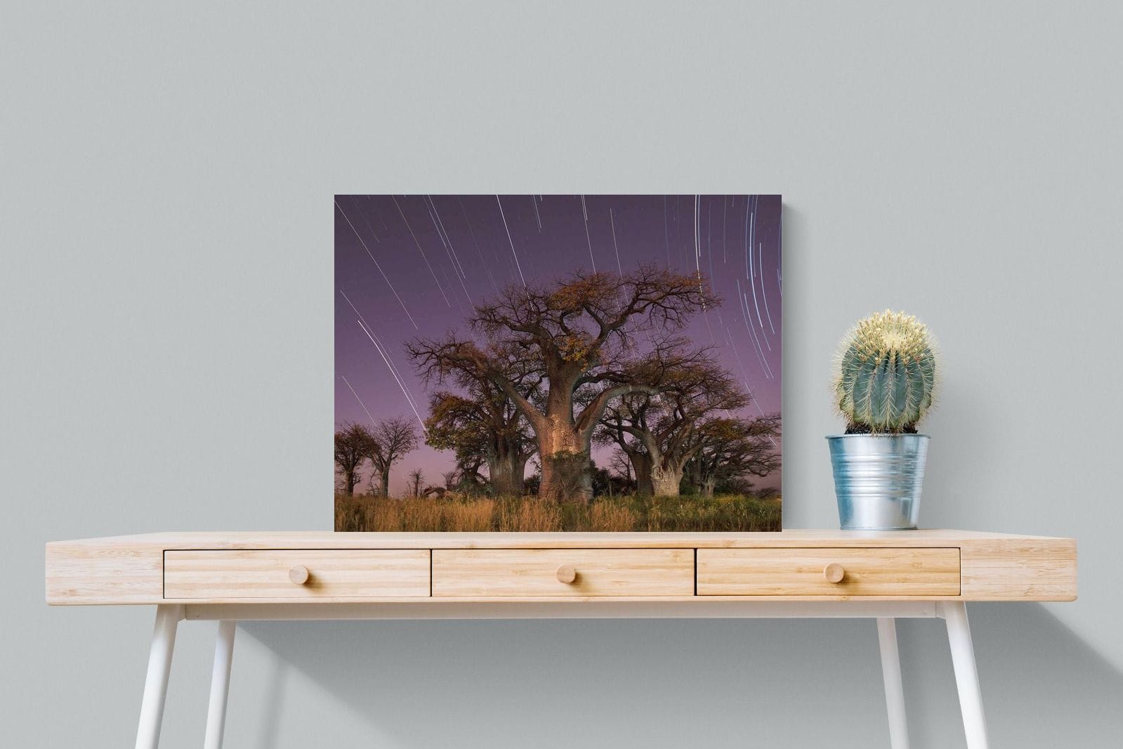 Starry Sky Baobab-Wall_Art-80 x 60cm-Mounted Canvas-No Frame-Pixalot