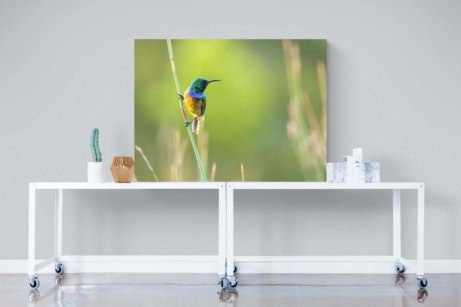 Sunbird-Wall_Art-120 x 90cm-Mounted Canvas-No Frame-Pixalot