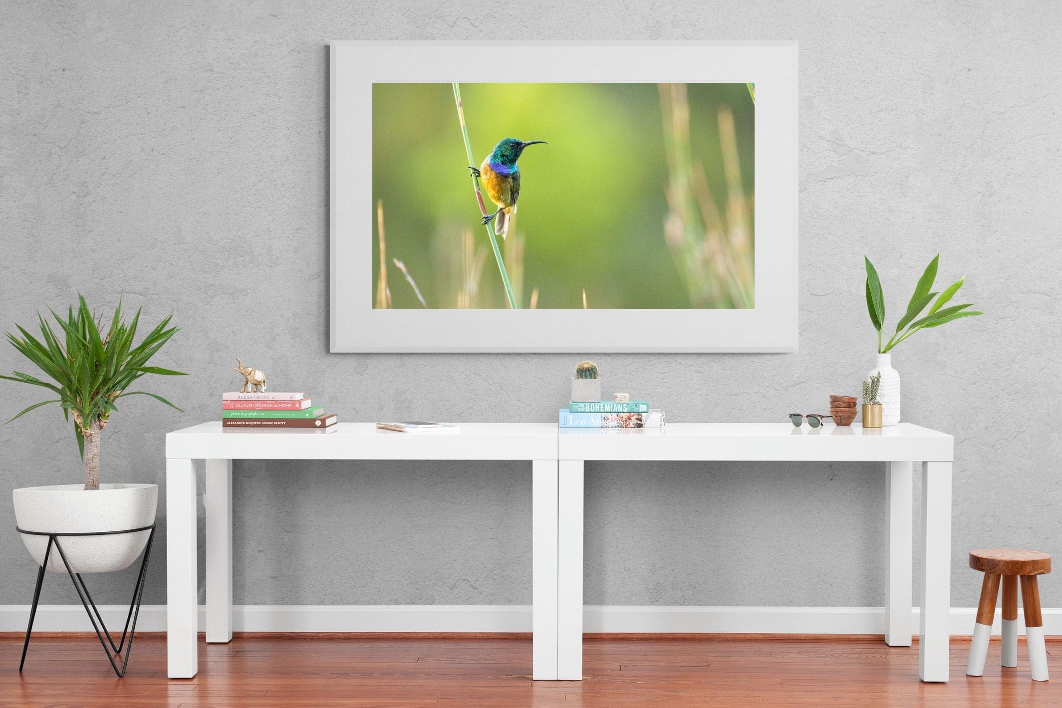 Sunbird-Wall_Art-150 x 100cm-Framed Print-White-Pixalot
