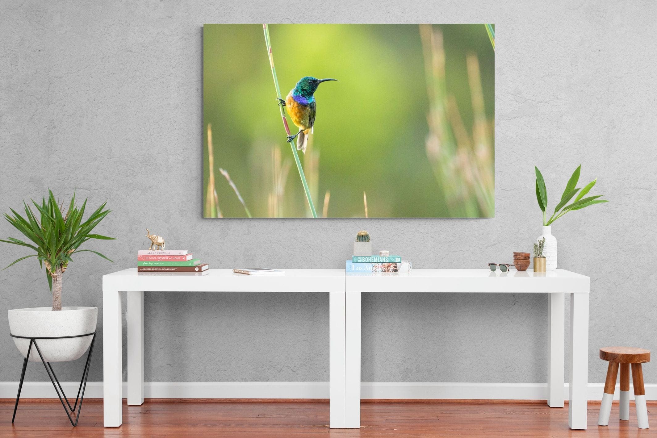 Sunbird-Wall_Art-150 x 100cm-Mounted Canvas-No Frame-Pixalot