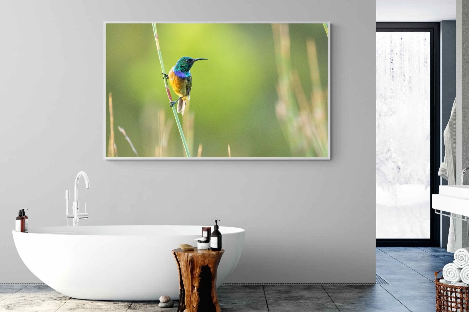 Sunbird-Wall_Art-180 x 110cm-Mounted Canvas-White-Pixalot