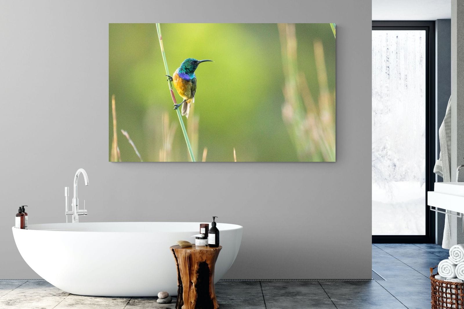 Sunbird-Wall_Art-180 x 110cm-Mounted Canvas-No Frame-Pixalot