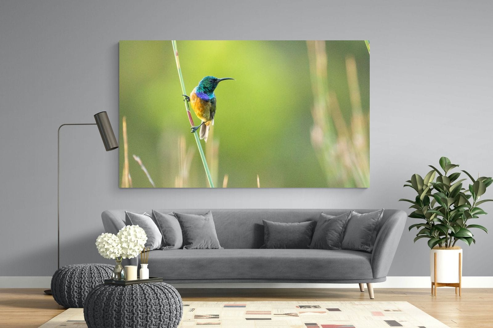Sunbird-Wall_Art-220 x 130cm-Mounted Canvas-No Frame-Pixalot