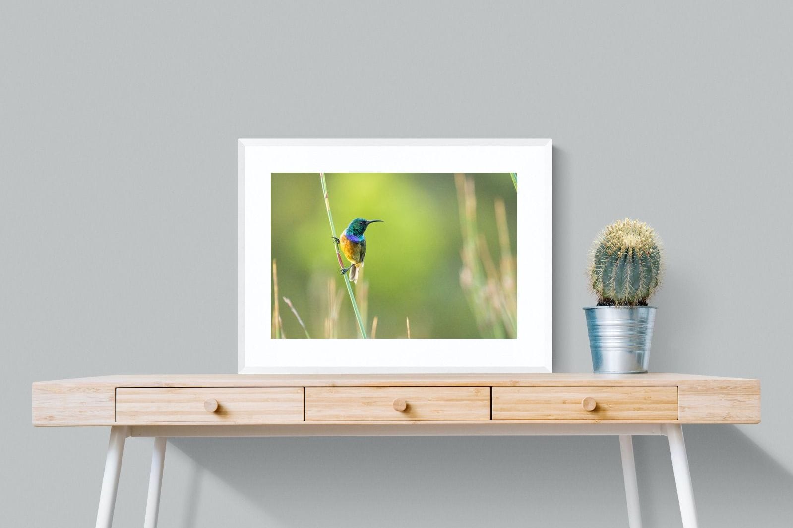 Sunbird-Wall_Art-80 x 60cm-Framed Print-White-Pixalot