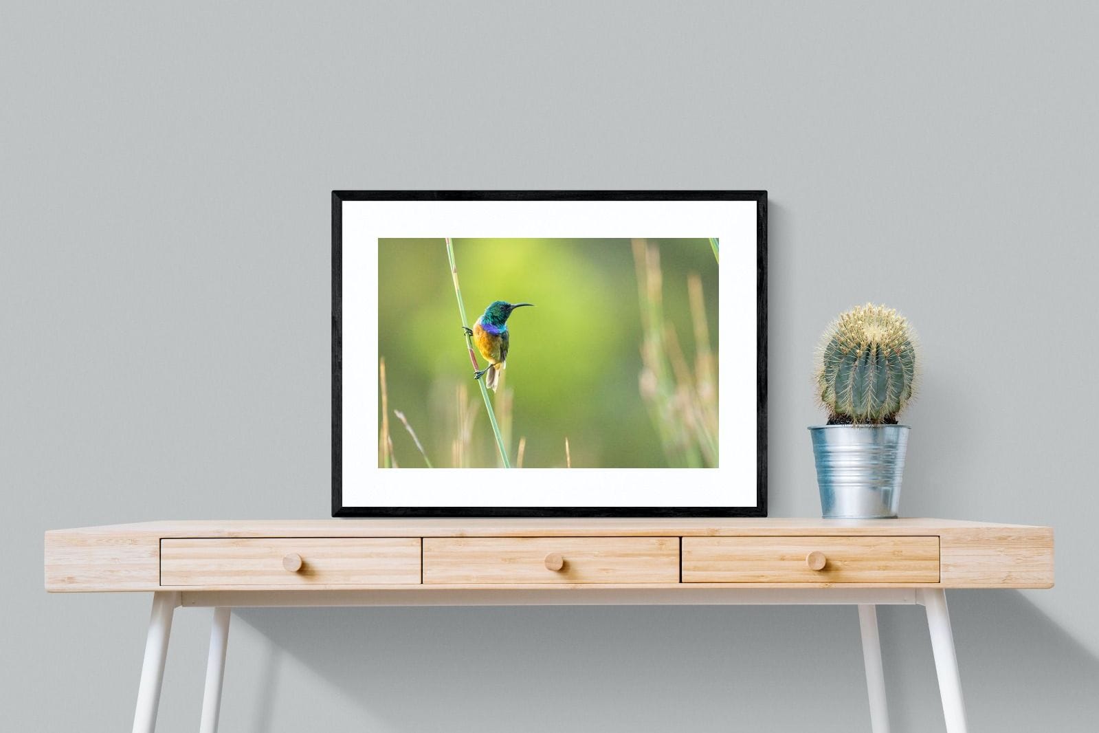 Sunbird-Wall_Art-80 x 60cm-Framed Print-Black-Pixalot