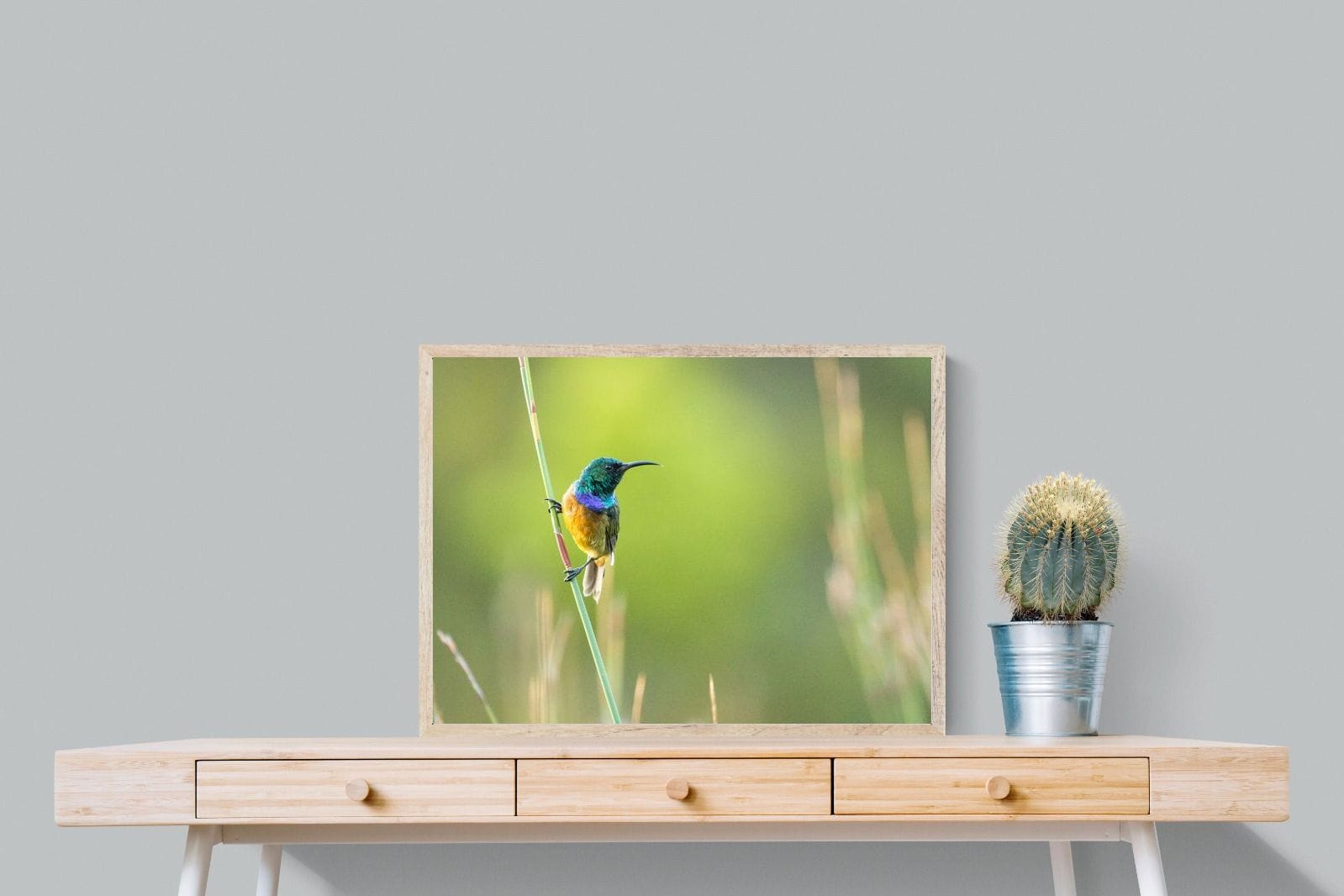 Sunbird-Wall_Art-80 x 60cm-Mounted Canvas-Wood-Pixalot