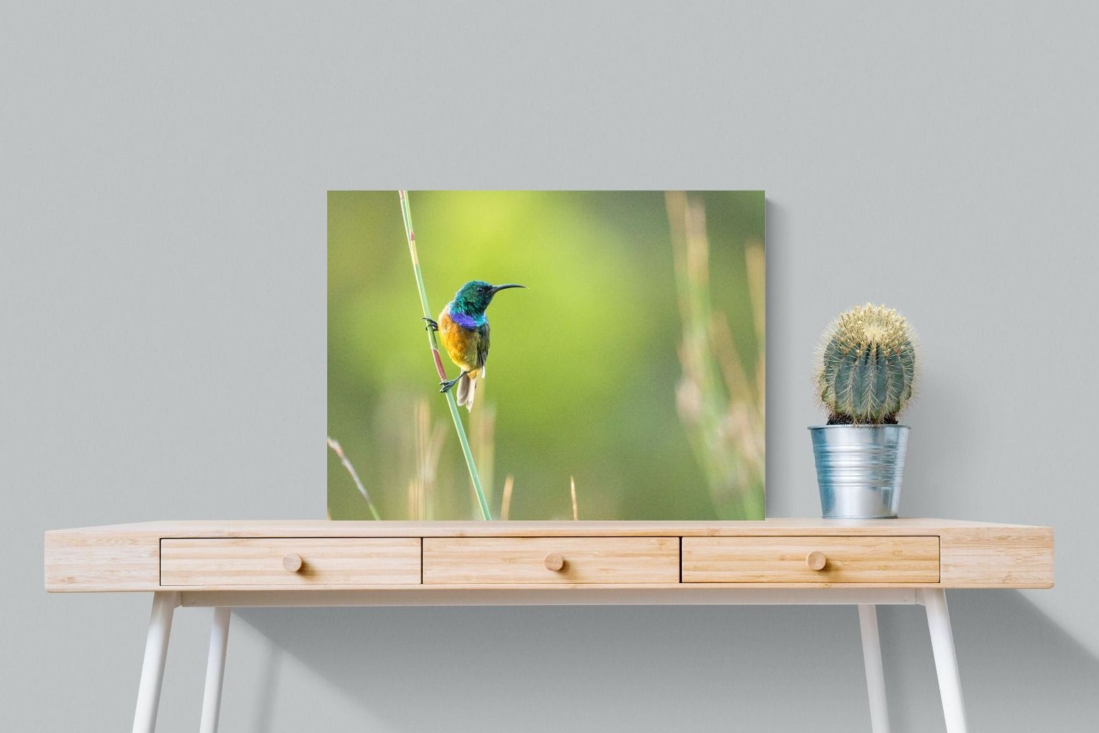 Sunbird-Wall_Art-80 x 60cm-Mounted Canvas-No Frame-Pixalot