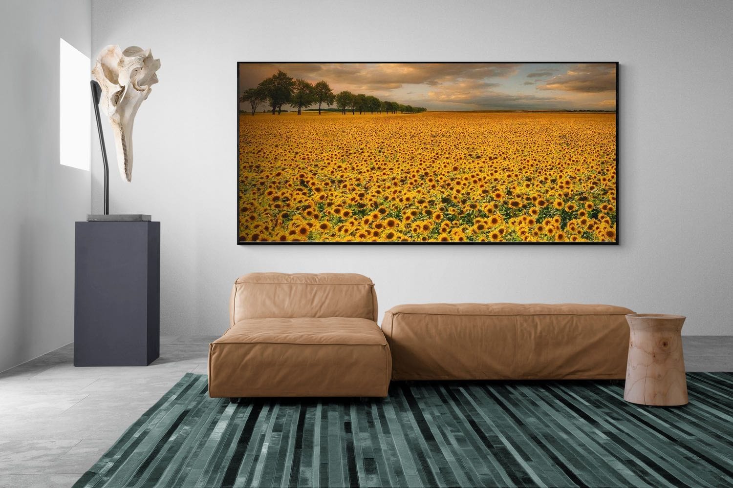 Pixalot Sunflower Field
