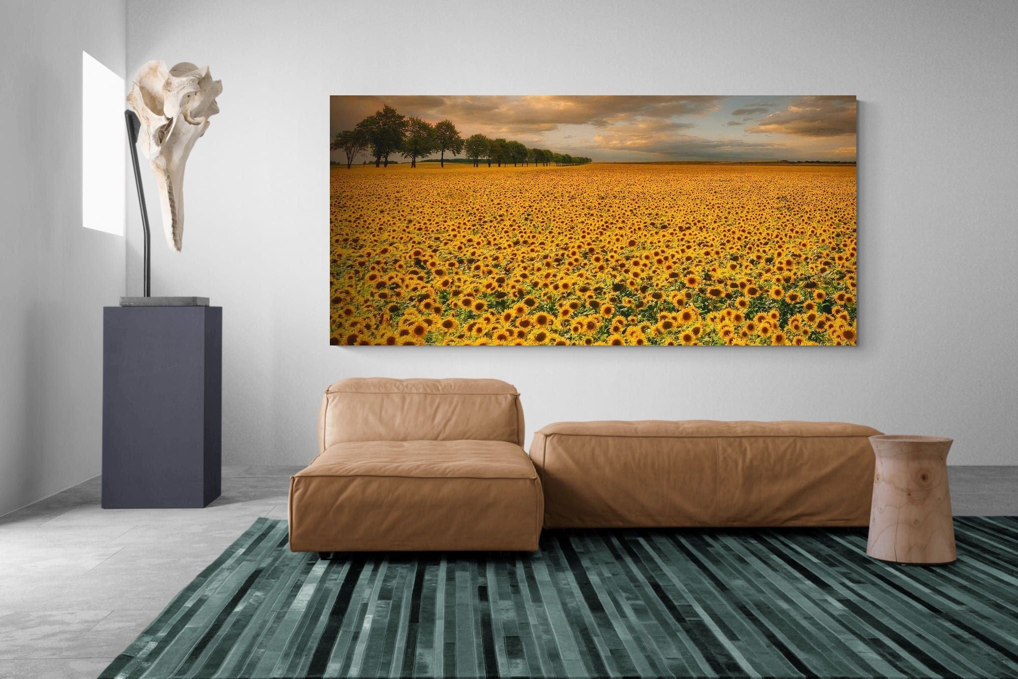 Pixalot Sunflower Field