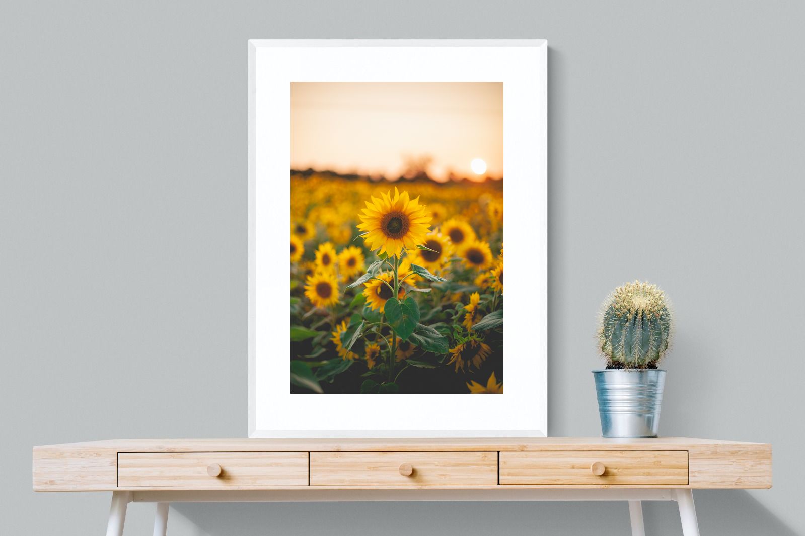Pixalot Sunflowers at Sunset