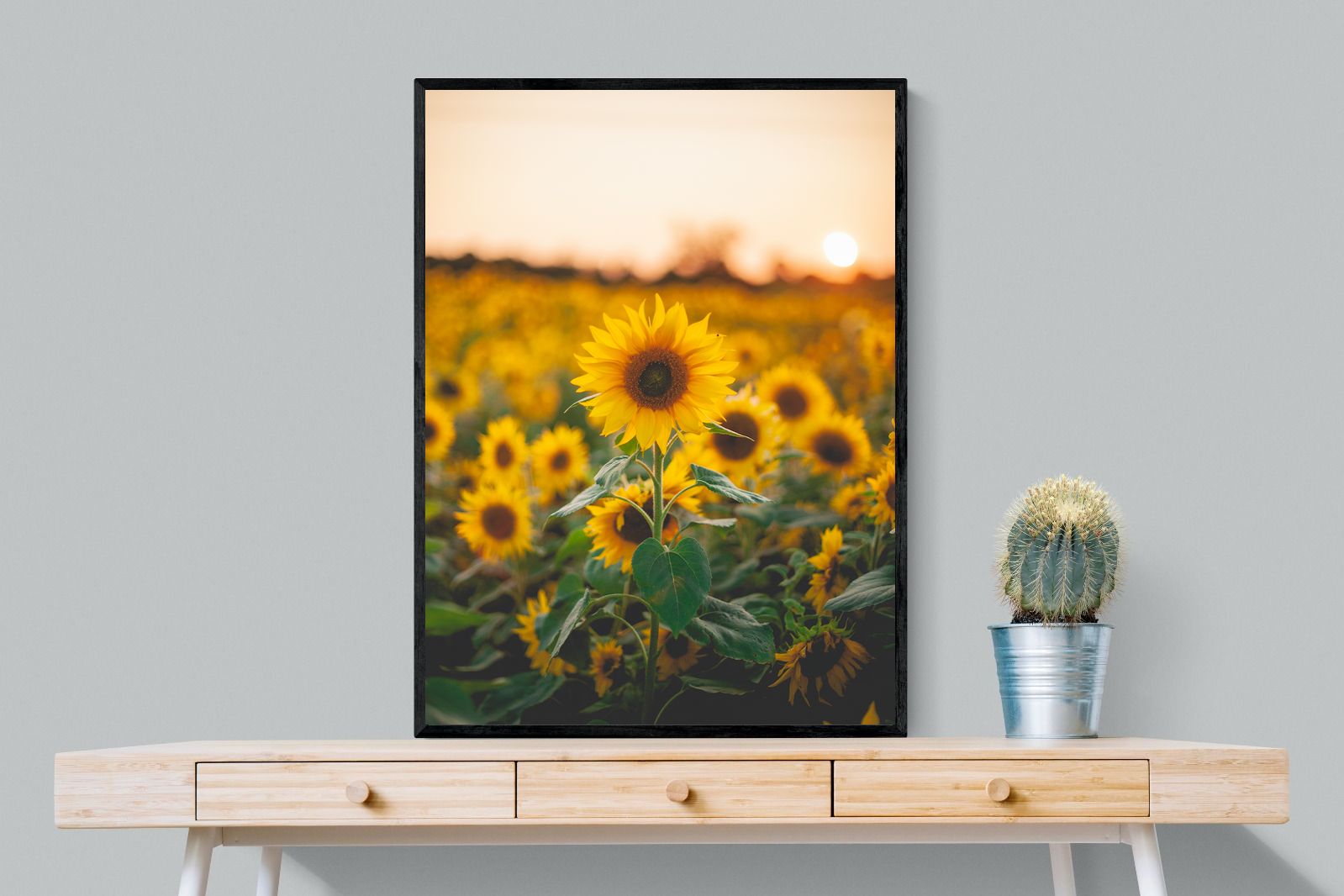 Pixalot Sunflowers at Sunset