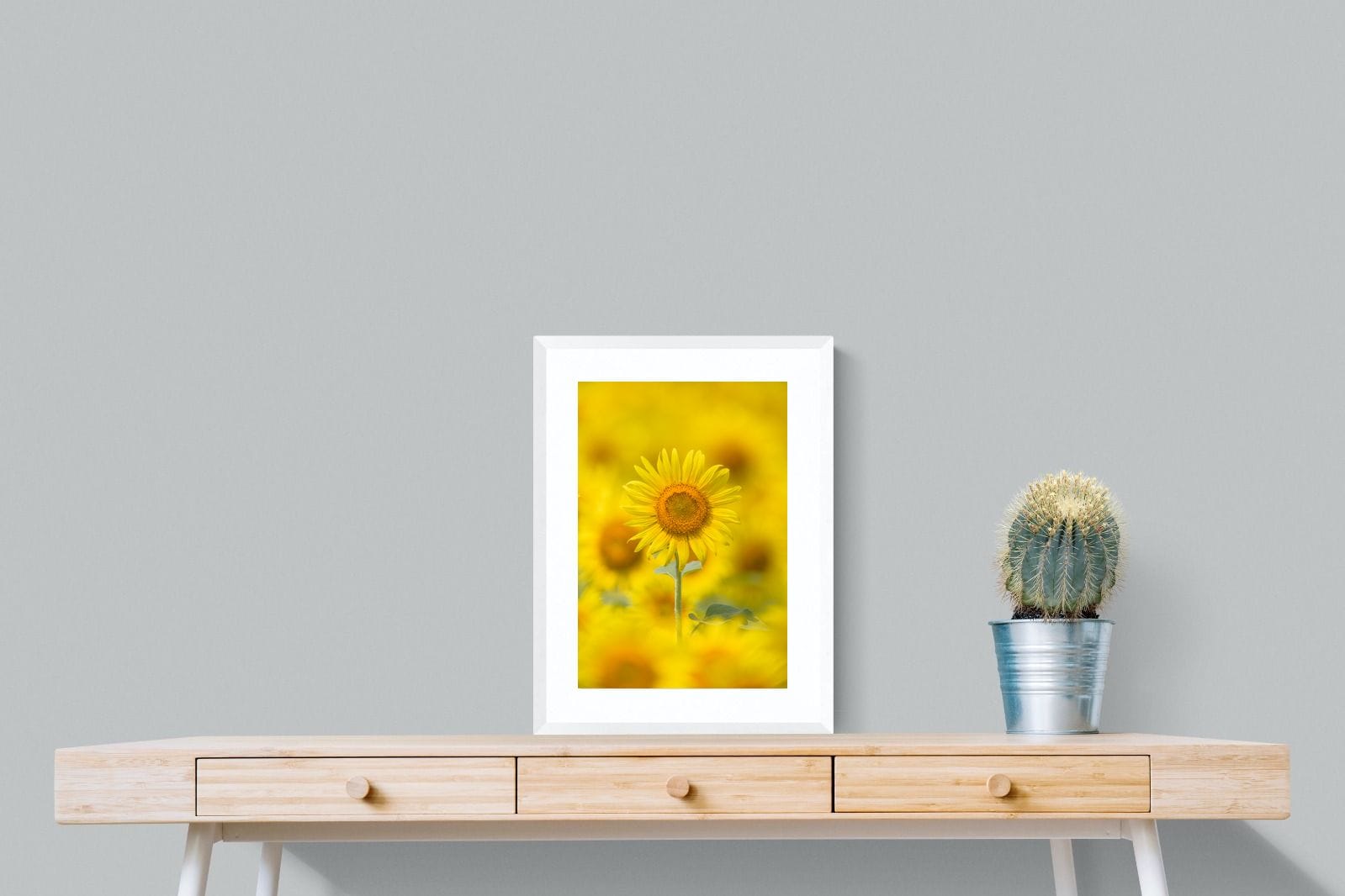 Sunniest Sunflower-Wall_Art-45 x 60cm-Framed Print-White-Pixalot