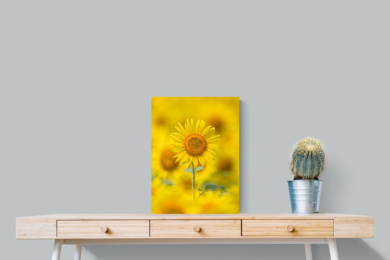 Sunniest Sunflower-Wall_Art-45 x 60cm-Mounted Canvas-No Frame-Pixalot