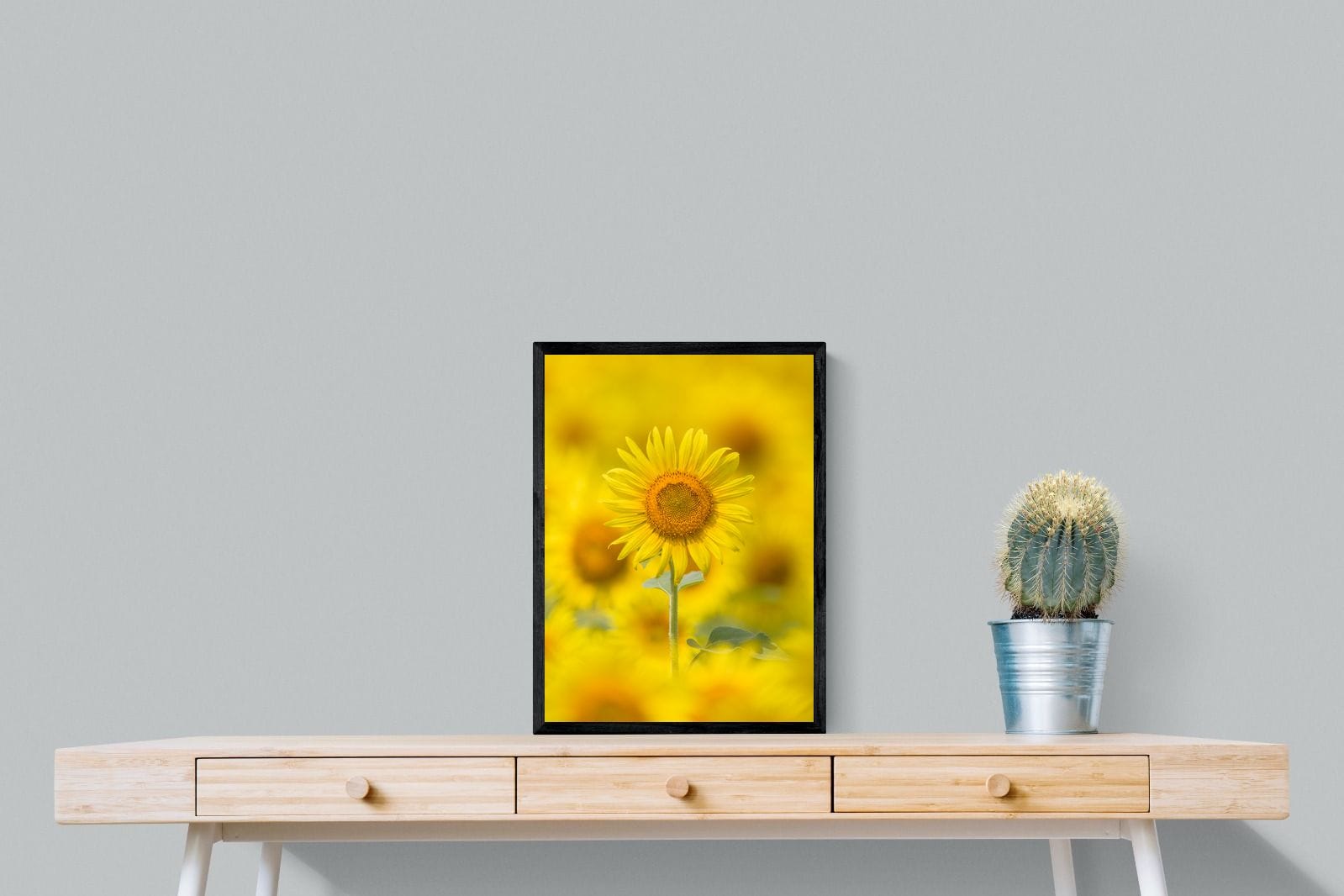 Sunniest Sunflower-Wall_Art-45 x 60cm-Mounted Canvas-Black-Pixalot