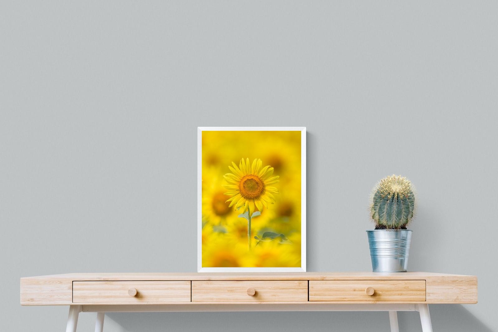 Sunniest Sunflower-Wall_Art-45 x 60cm-Mounted Canvas-White-Pixalot