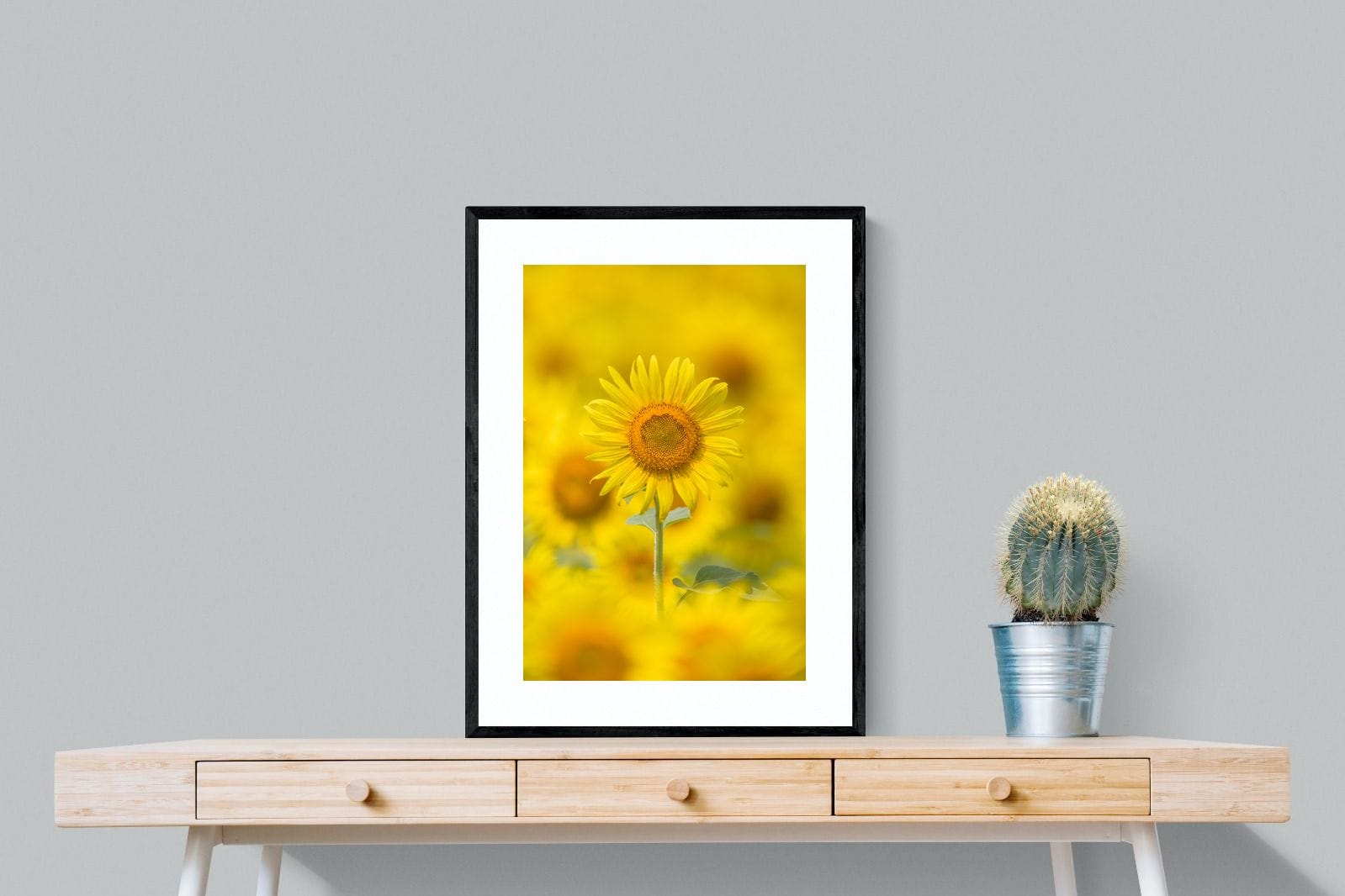 Sunniest Sunflower-Wall_Art-60 x 80cm-Framed Print-Black-Pixalot