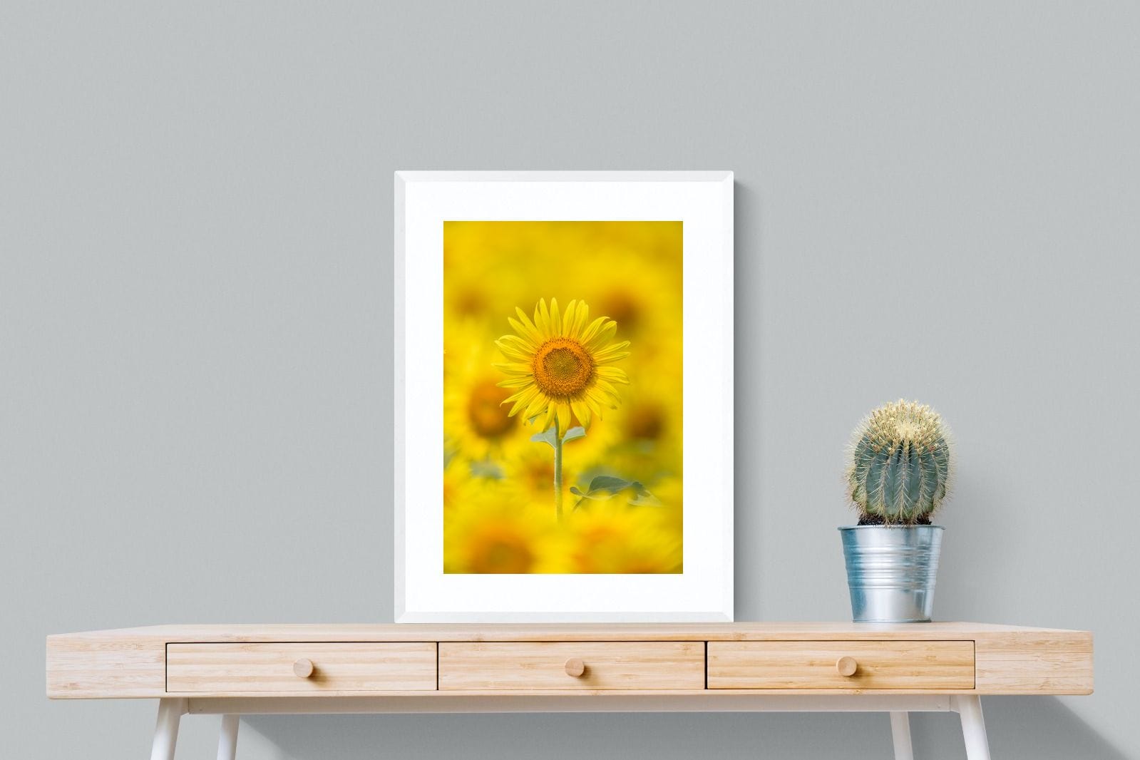 Sunniest Sunflower-Wall_Art-60 x 80cm-Framed Print-White-Pixalot