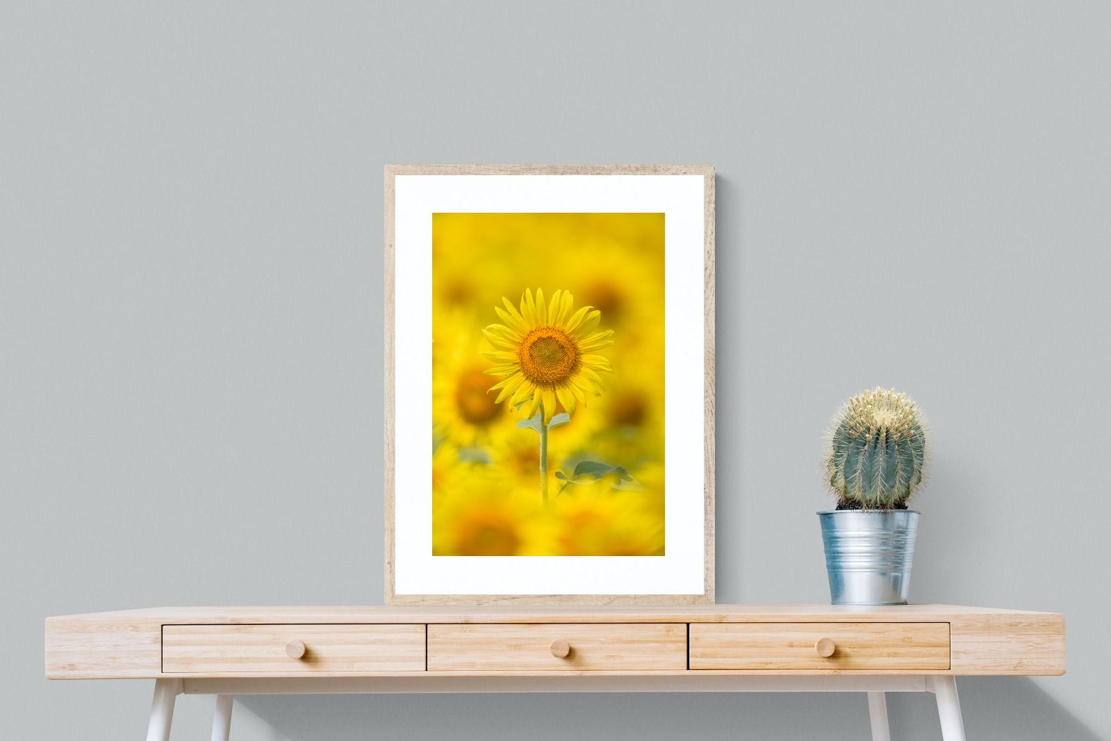 Sunniest Sunflower-Wall_Art-60 x 80cm-Framed Print-Wood-Pixalot