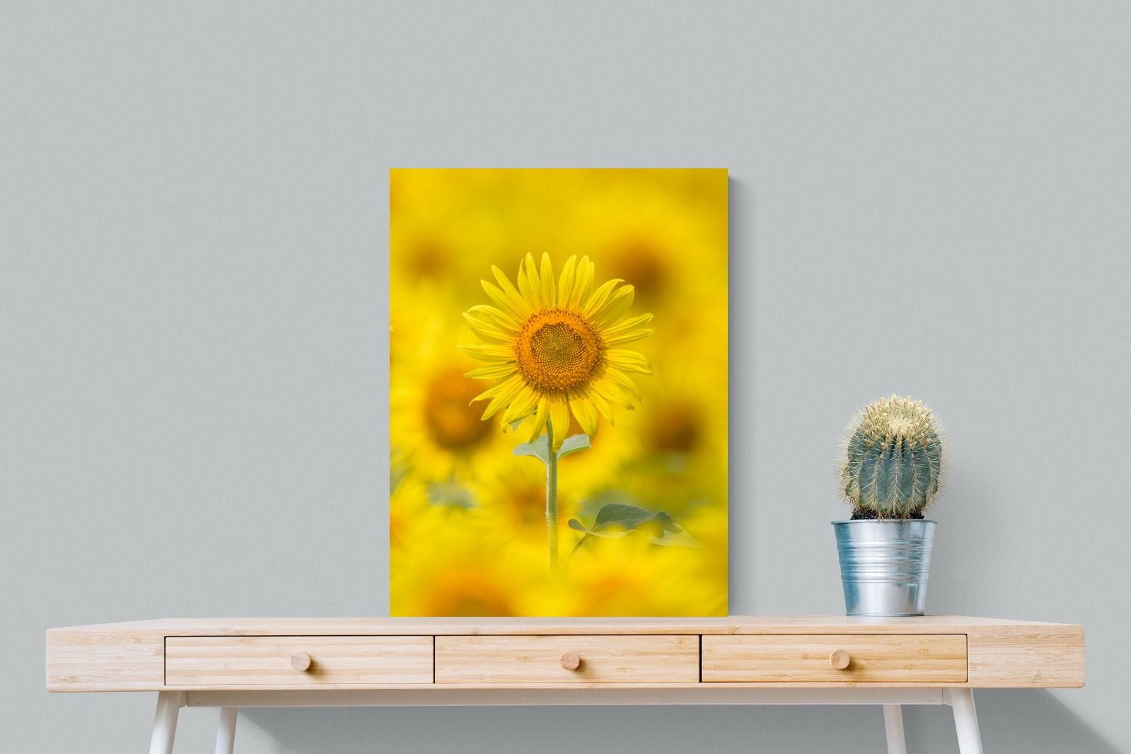 Sunniest Sunflower-Wall_Art-60 x 80cm-Mounted Canvas-No Frame-Pixalot