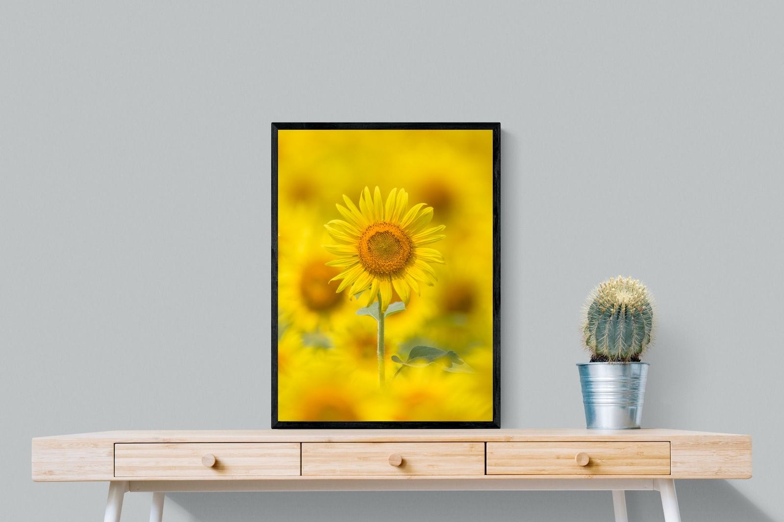 Sunniest Sunflower-Wall_Art-60 x 80cm-Mounted Canvas-Black-Pixalot