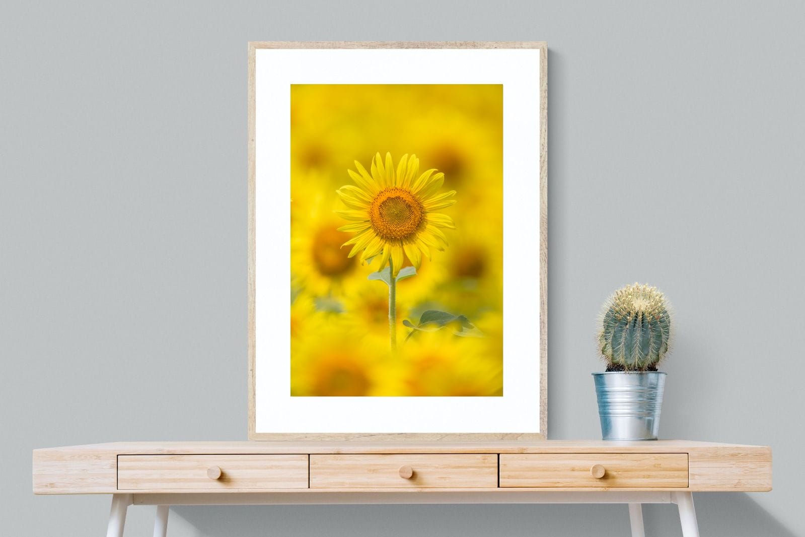 Sunniest Sunflower-Wall_Art-75 x 100cm-Framed Print-Wood-Pixalot