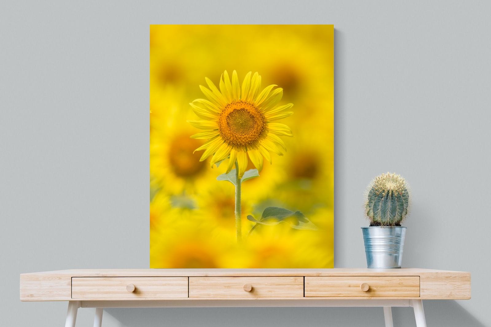 Sunniest Sunflower-Wall_Art-75 x 100cm-Mounted Canvas-No Frame-Pixalot