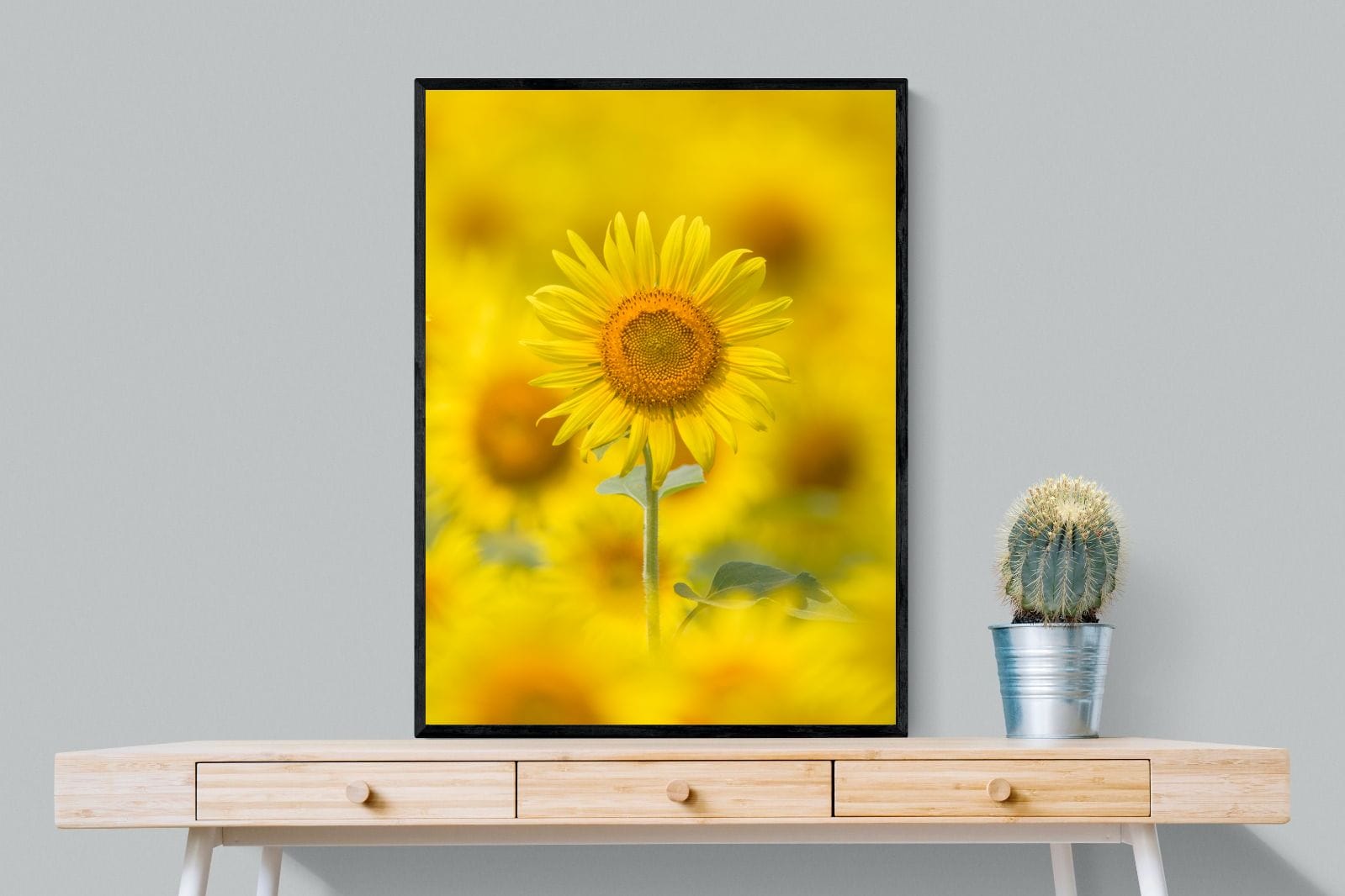 Sunniest Sunflower-Wall_Art-75 x 100cm-Mounted Canvas-Black-Pixalot