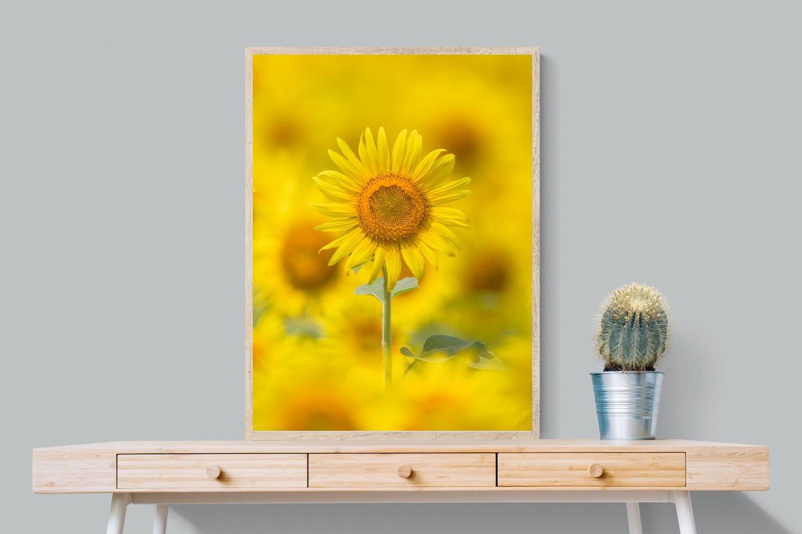 Sunniest Sunflower-Wall_Art-75 x 100cm-Mounted Canvas-Wood-Pixalot
