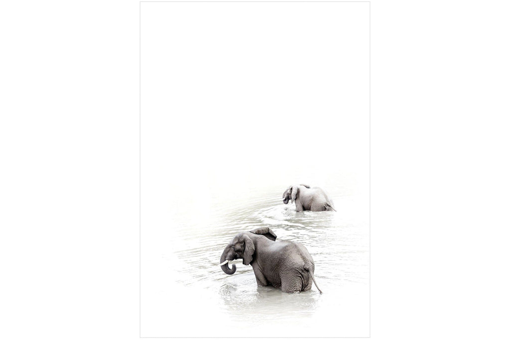 Swimming Elephants-Wall_Art-Pixalot