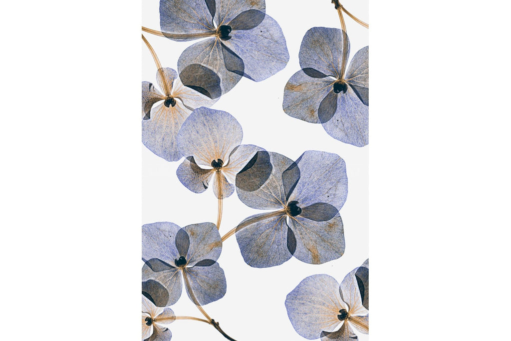 Translucent Botanical-Wall_Art-Pixalot