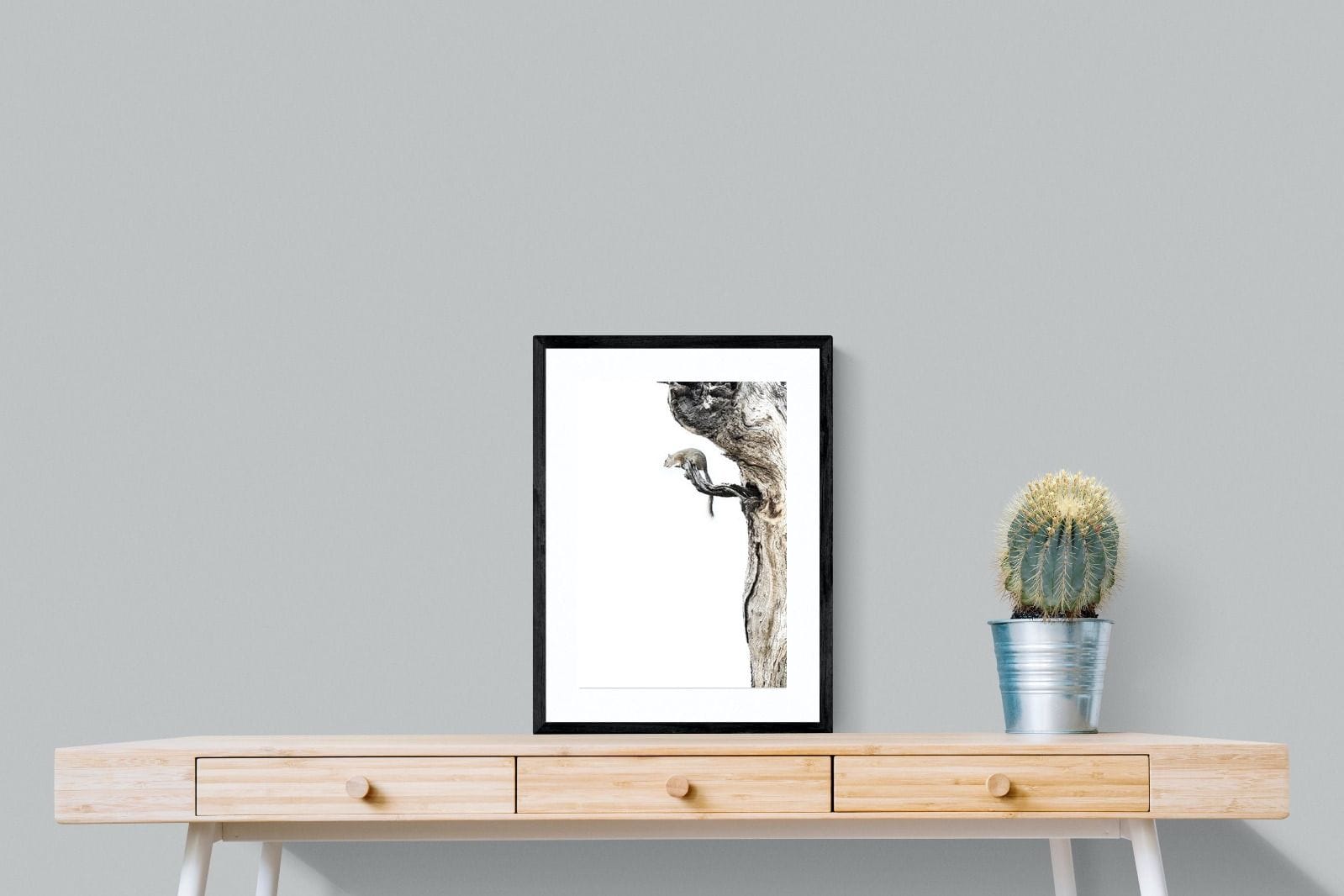 Tree Squirrel-Wall_Art-45 x 60cm-Framed Print-Black-Pixalot