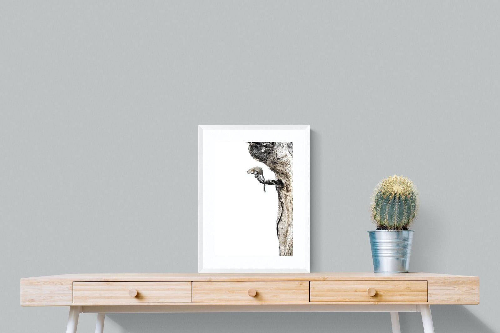 Tree Squirrel-Wall_Art-45 x 60cm-Framed Print-White-Pixalot