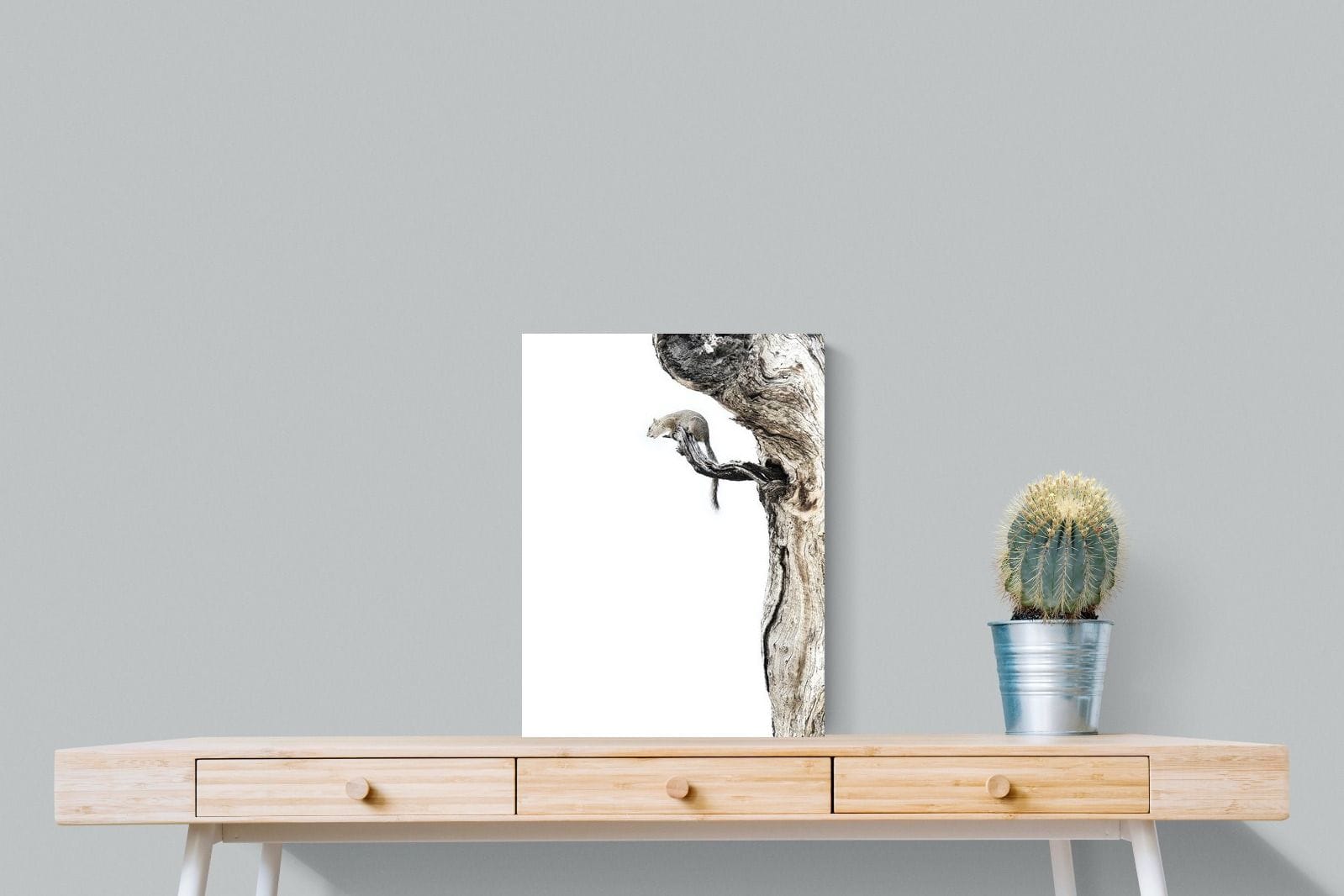 Tree Squirrel-Wall_Art-45 x 60cm-Mounted Canvas-No Frame-Pixalot