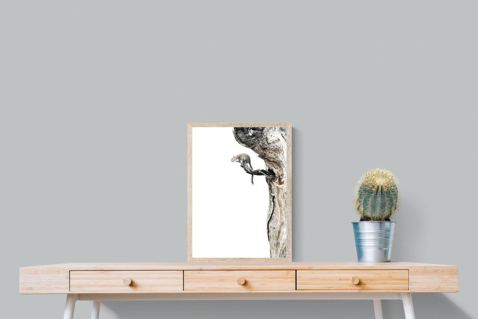 Tree Squirrel-Wall_Art-45 x 60cm-Mounted Canvas-Wood-Pixalot
