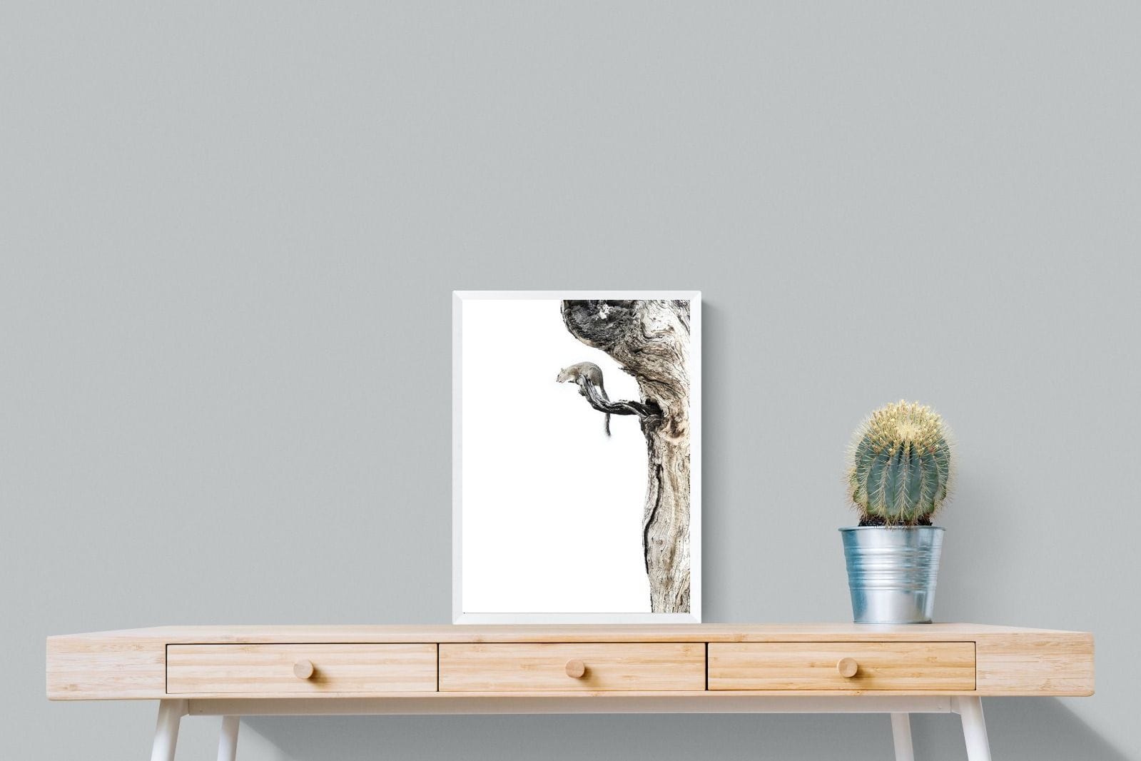 Tree Squirrel-Wall_Art-45 x 60cm-Mounted Canvas-White-Pixalot