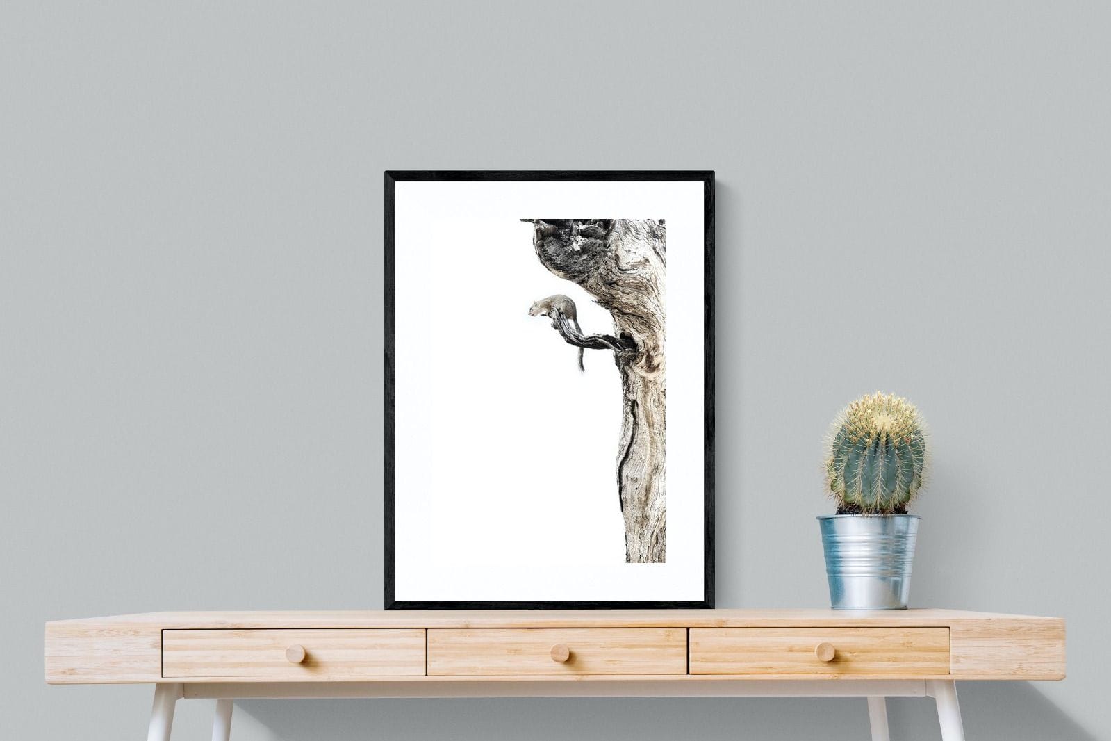 Tree Squirrel-Wall_Art-60 x 80cm-Framed Print-Black-Pixalot