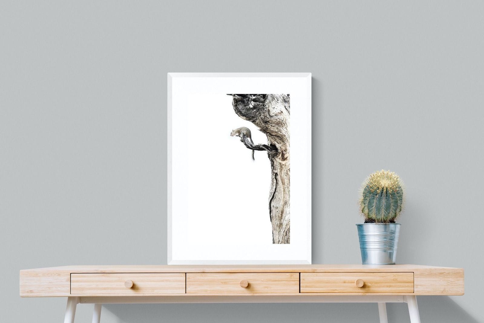 Tree Squirrel-Wall_Art-60 x 80cm-Framed Print-White-Pixalot