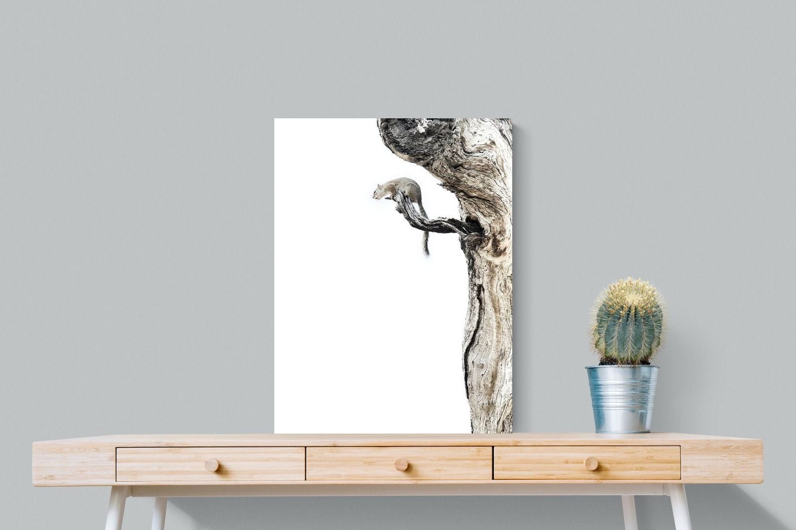 Tree Squirrel-Wall_Art-60 x 80cm-Mounted Canvas-No Frame-Pixalot