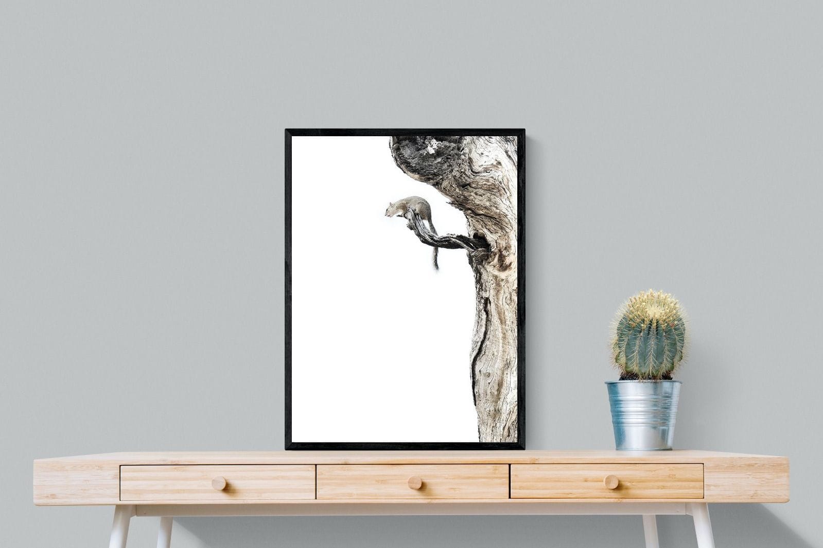 Tree Squirrel-Wall_Art-60 x 80cm-Mounted Canvas-Black-Pixalot
