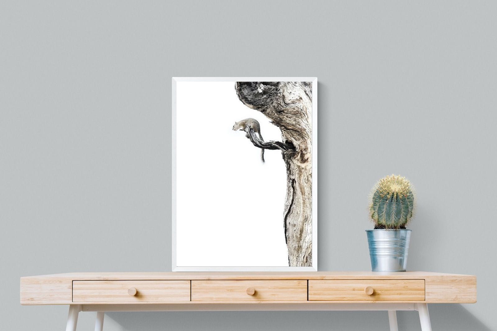 Tree Squirrel-Wall_Art-60 x 80cm-Mounted Canvas-White-Pixalot