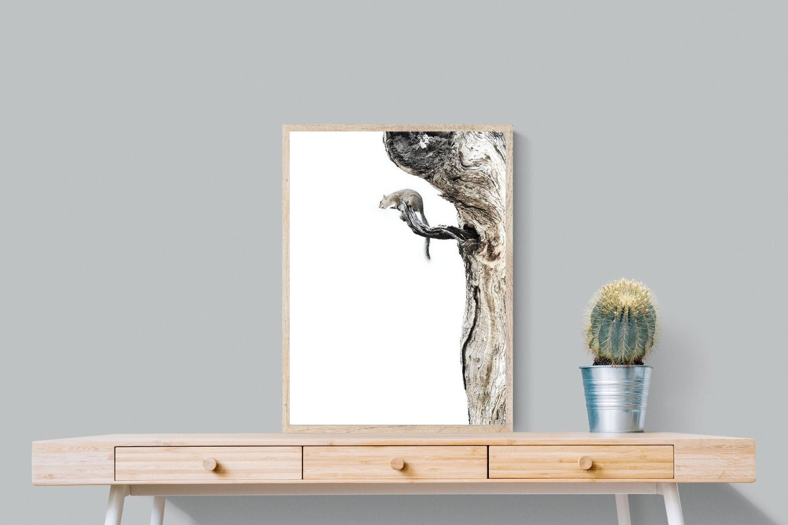 Tree Squirrel-Wall_Art-60 x 80cm-Mounted Canvas-Wood-Pixalot