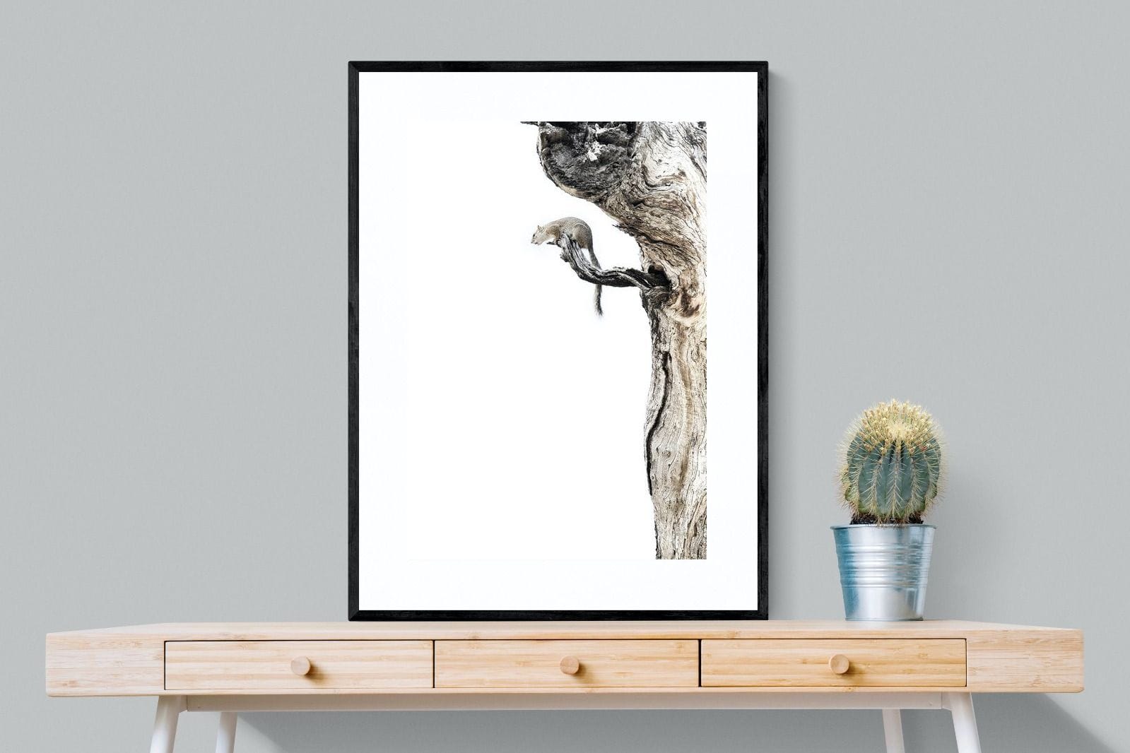 Tree Squirrel-Wall_Art-75 x 100cm-Framed Print-Black-Pixalot
