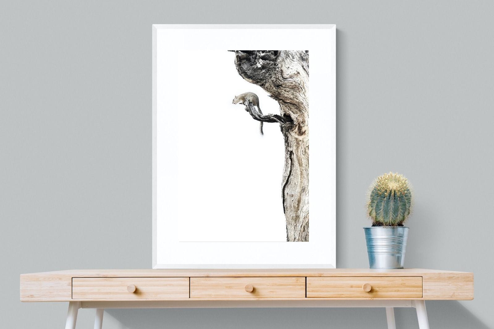 Tree Squirrel-Wall_Art-75 x 100cm-Framed Print-White-Pixalot