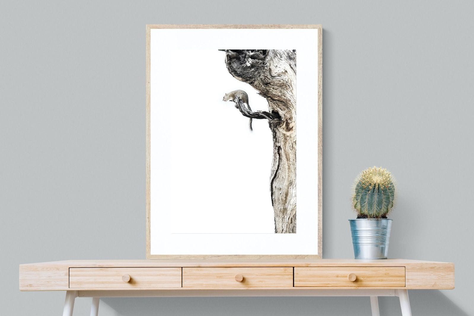 Tree Squirrel-Wall_Art-75 x 100cm-Framed Print-Wood-Pixalot